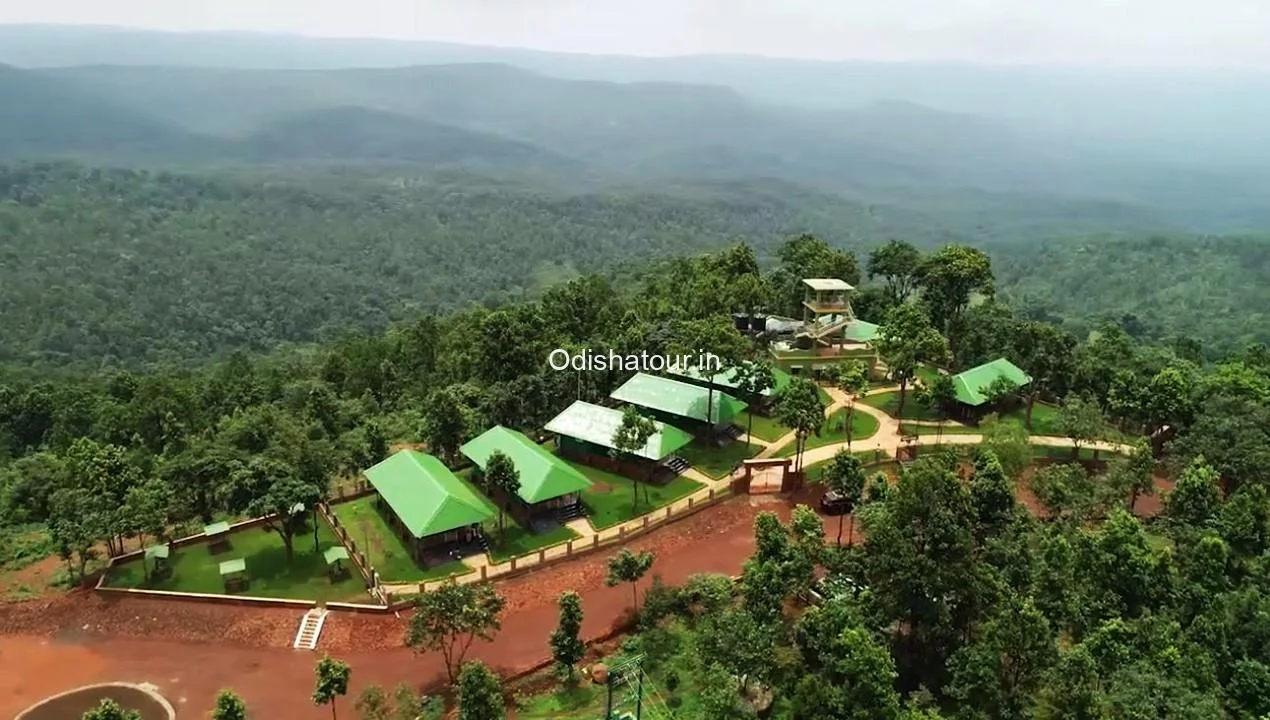 Explore Odisha’s Rich Biodiversity Through Eco-tourism Packages